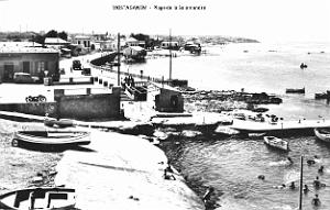 Mostaganem - Plage de la Salamandre